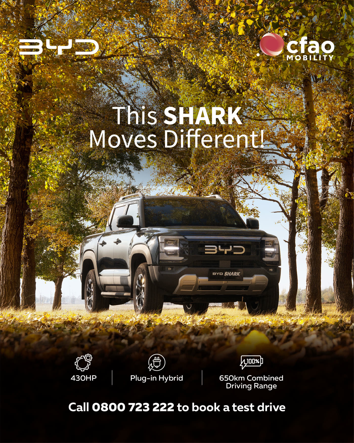 BYD campaign creative