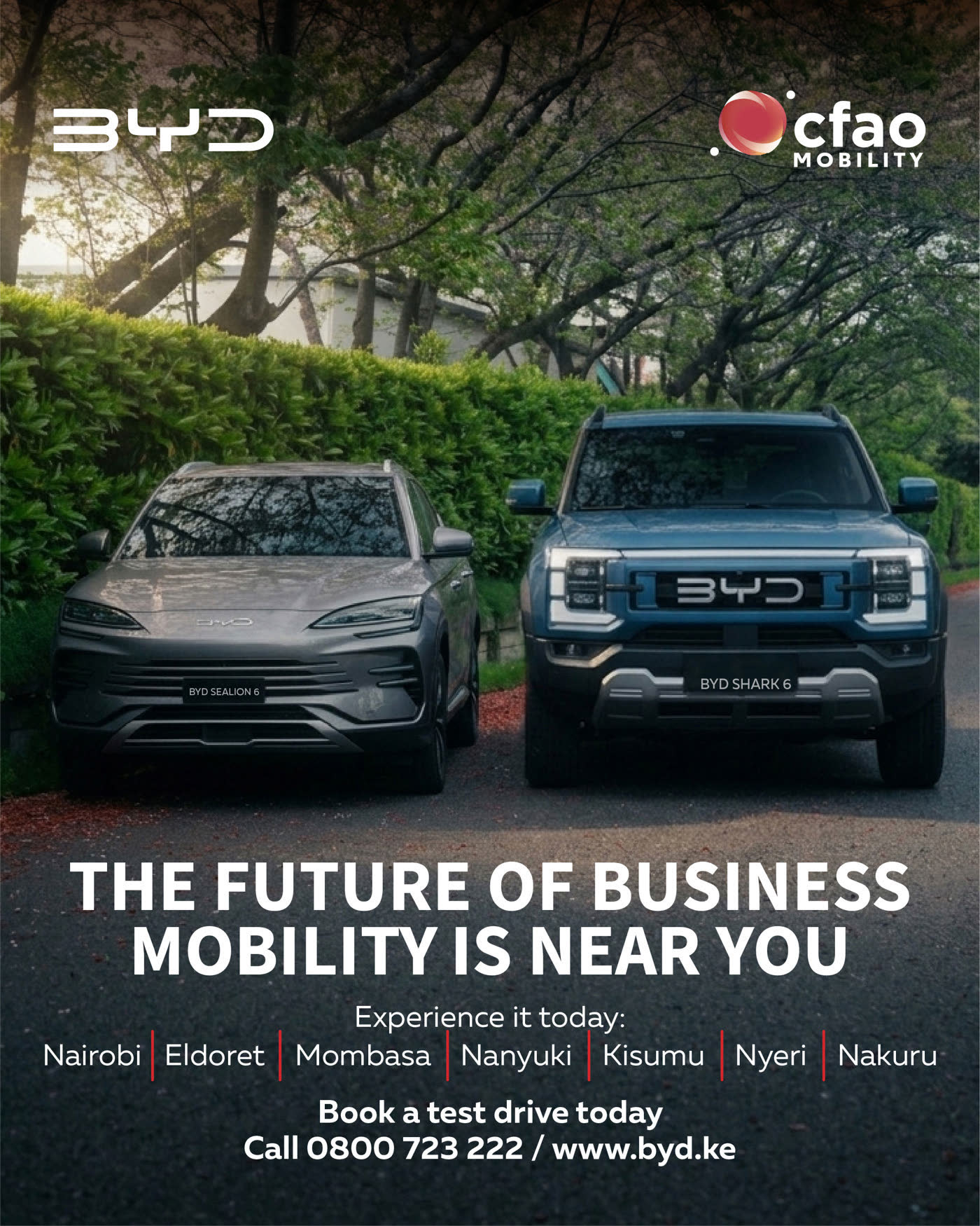 BYD network campaign